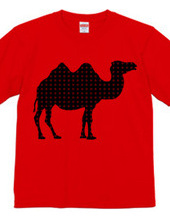 camel