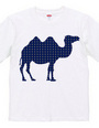 camel