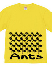 Ants