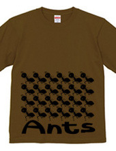 Ants