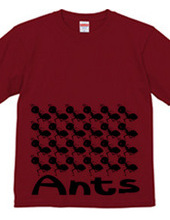 Ants