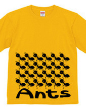 Ants