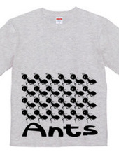 Ants