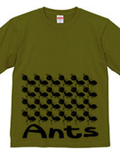 Ants