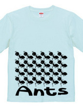 Ants