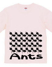 Ants