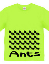 Ants