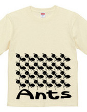 Ants