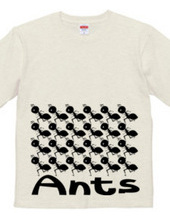 Ants