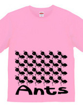 Ants