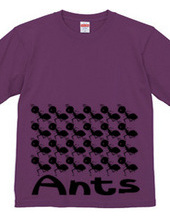 Ants