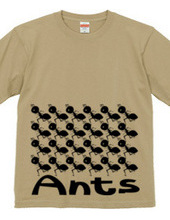 Ants