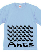 Ants