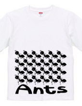 Ants