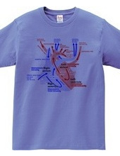 心臓 医療系 図（英語）