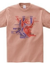 Heart medical genealogy (English)