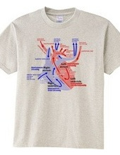 Heart medical genealogy (English)