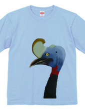 Cassowary