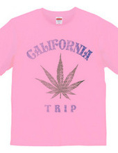 California trip