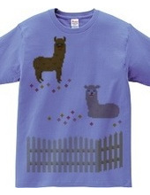 Dot Alpaca