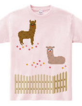 Dot Alpaca