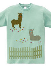 Dot Alpaca