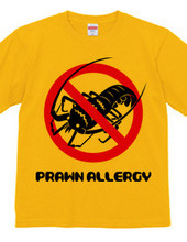 Prawn Allergy