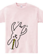 Rabbit3