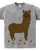 Dot Alpaca -brown-