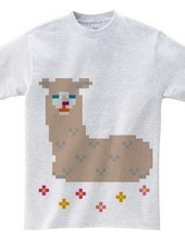 Dot Alpaca -light brown-