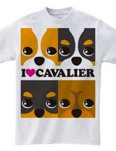 I ♥ Cavalier