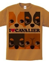 I ♥ Cavalier