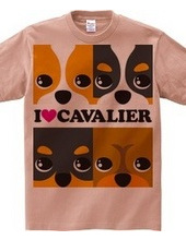 I love Cavalier