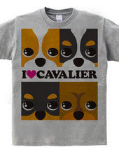 I ♥ Cavalier