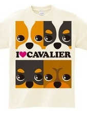 I ♥ Cavalier