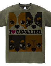 I ♥ Cavalier