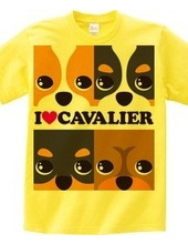 I ♥ Cavalier