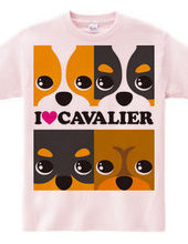 I ♥ Cavalier