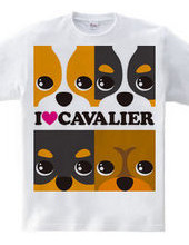 I love Cavalier