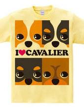 I ♥ Cavalier