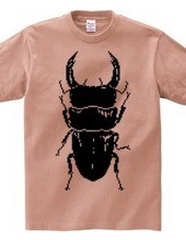 Stag beetle!