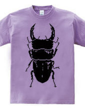 Stag beetle!