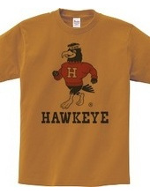 Iowa Hawkeye oldschool style College