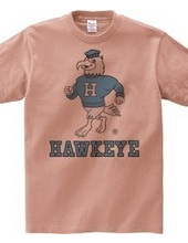 Iowa Hawkeye oldschool style College