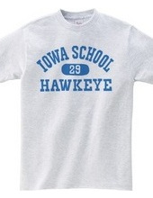 Iowa Hawkeye oldschool style College