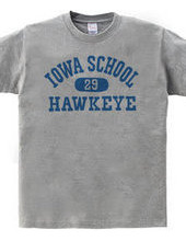 Iowa Hawkeye oldschool style College