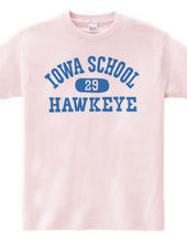 Iowa Hawkeye oldschool style College