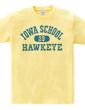 Iowa Hawkeye oldschool style College