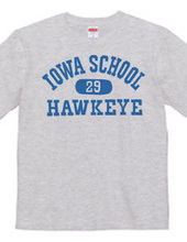 Iowa Hawkeye oldschool style College