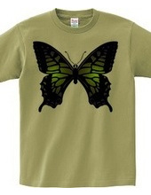 Swallowtail_B